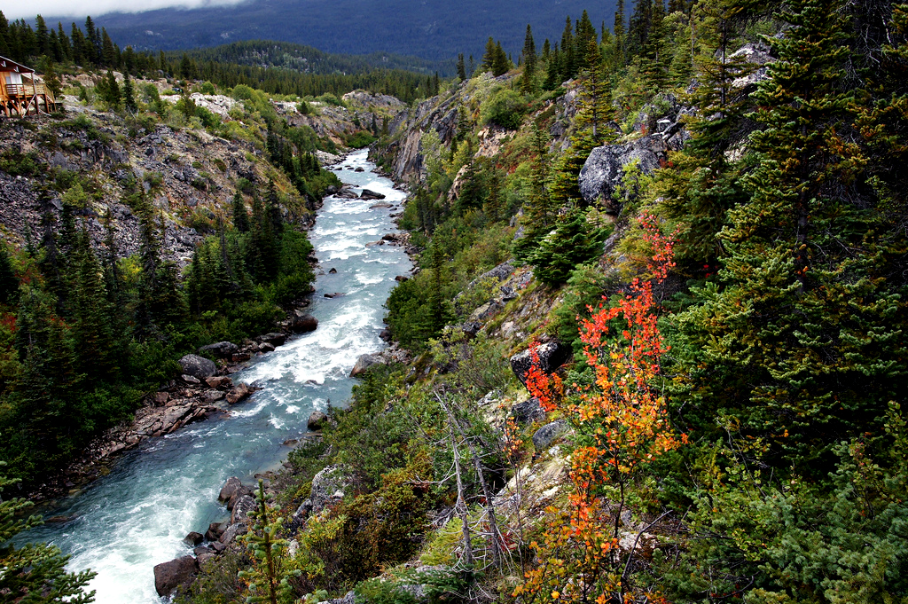 yukon proche dawson city