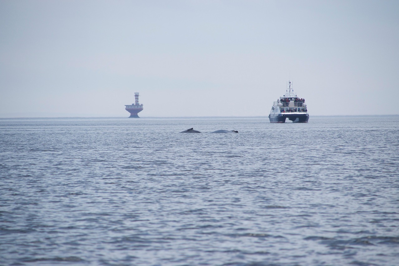 visiter Tadoussac 